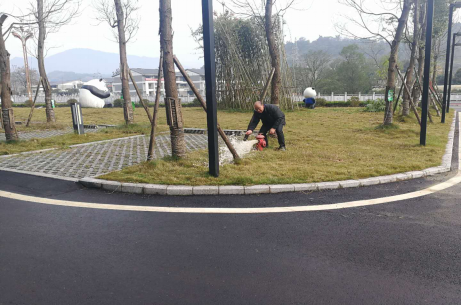 尊龙凯时官网