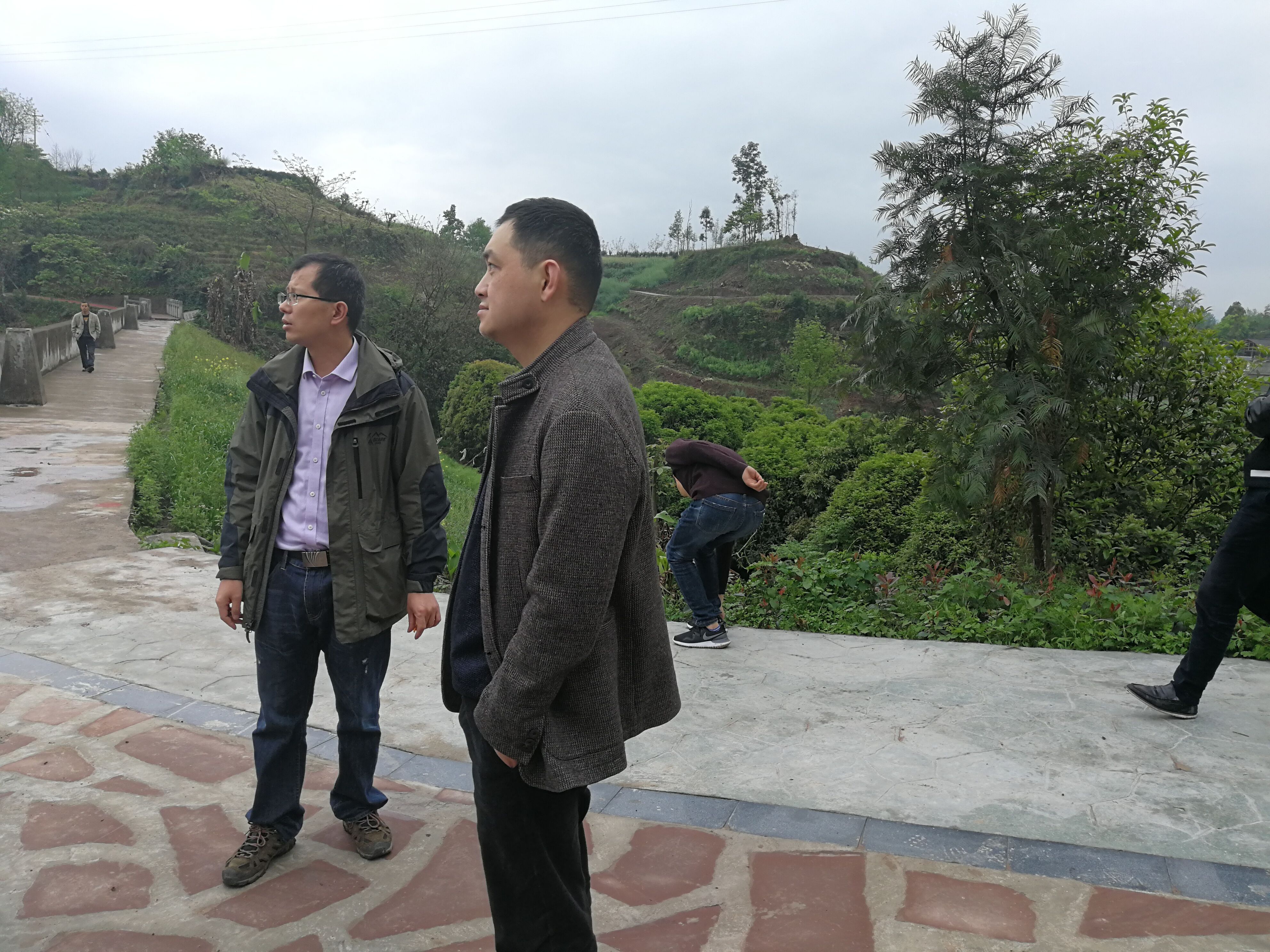 尊龙凯时官网