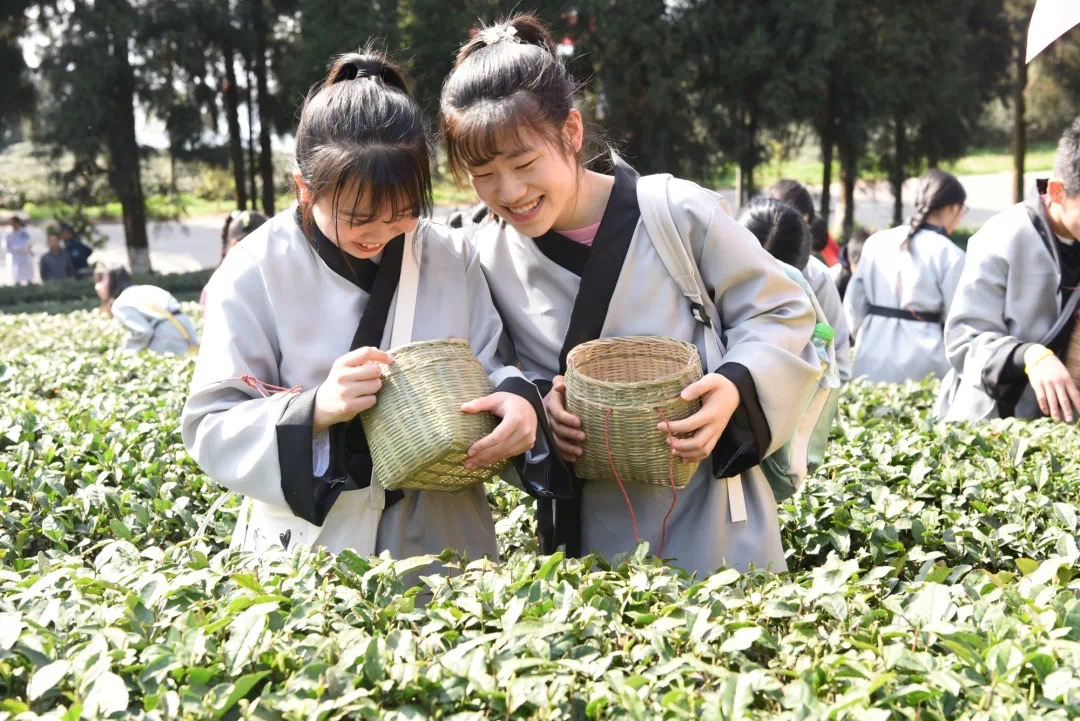 尊龙凯时官网