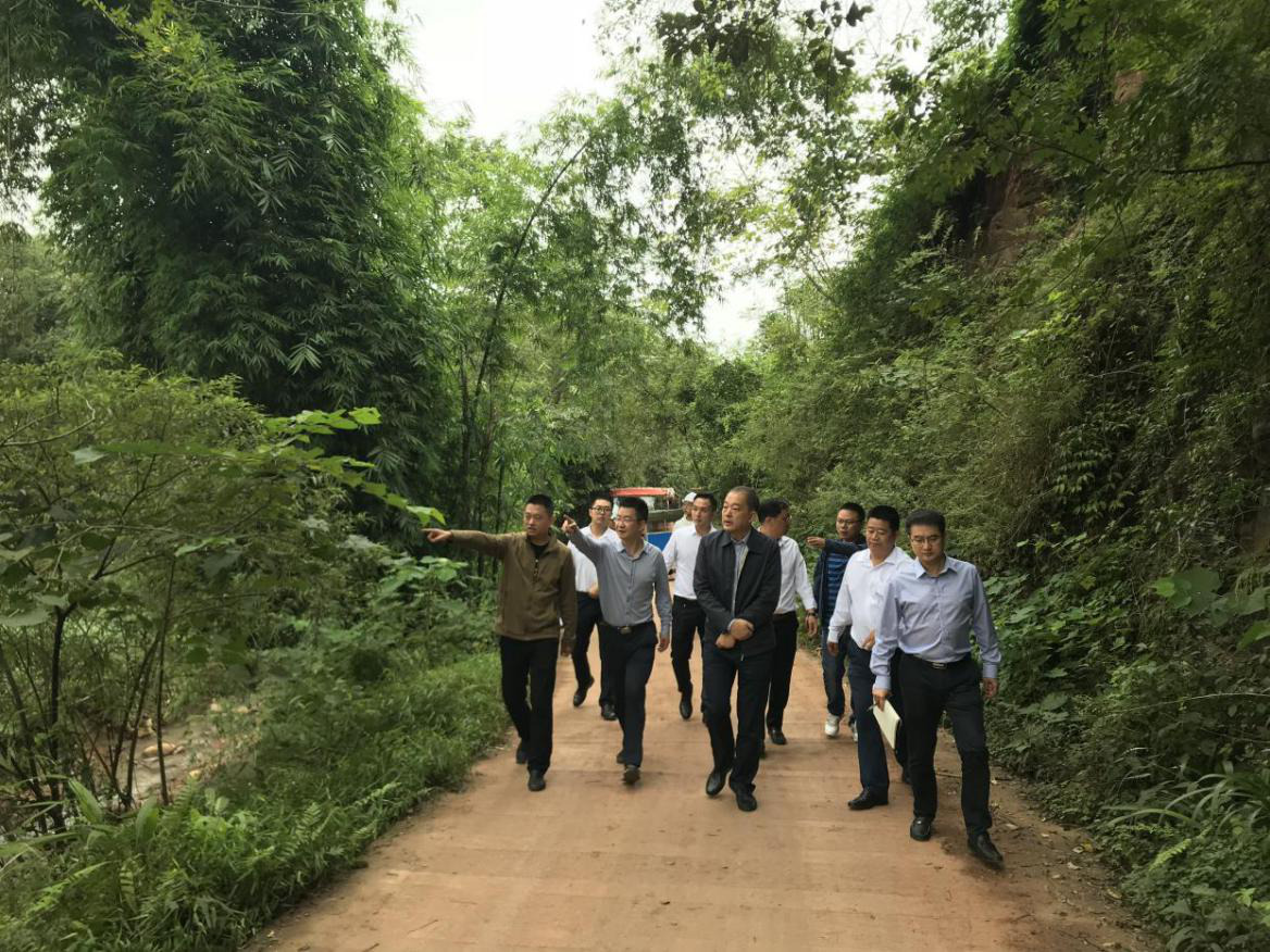 尊龙凯时官网