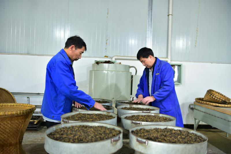 尊龙凯时官网
