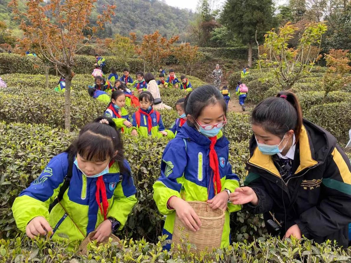 尊龙凯时官网