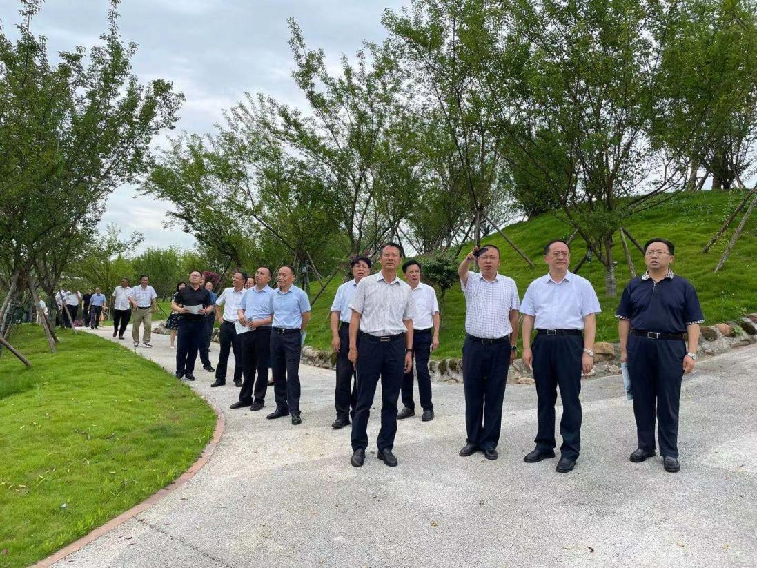 尊龙凯时官网