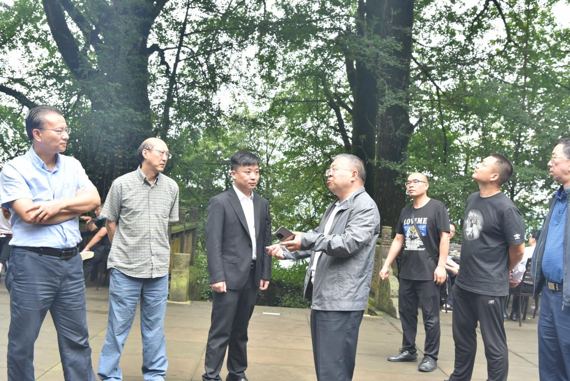尊龙凯时官网