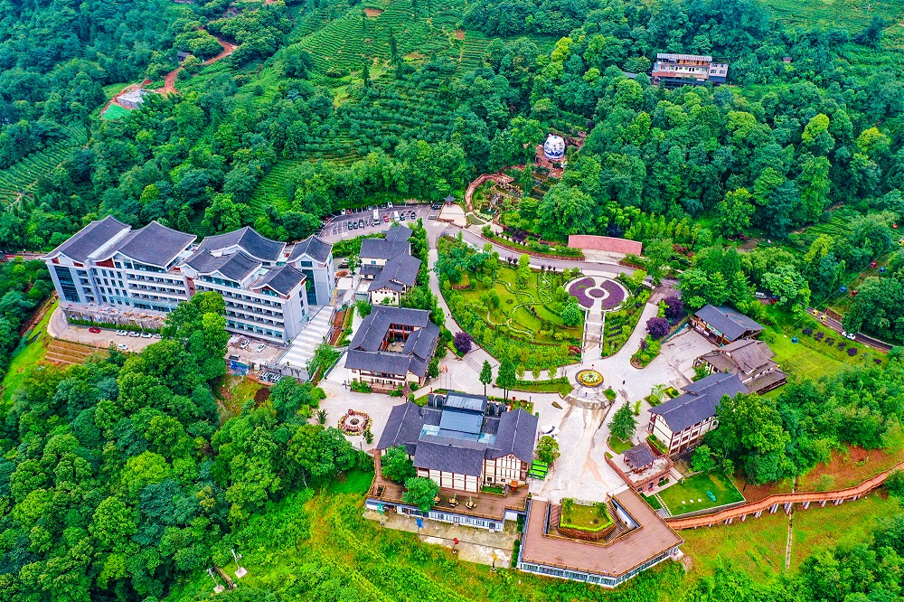 尊龙凯时官网