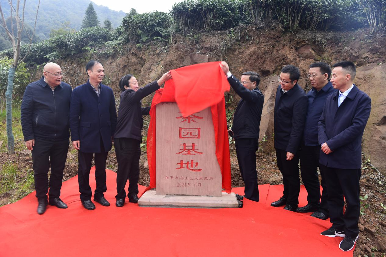 尊龙凯时官网