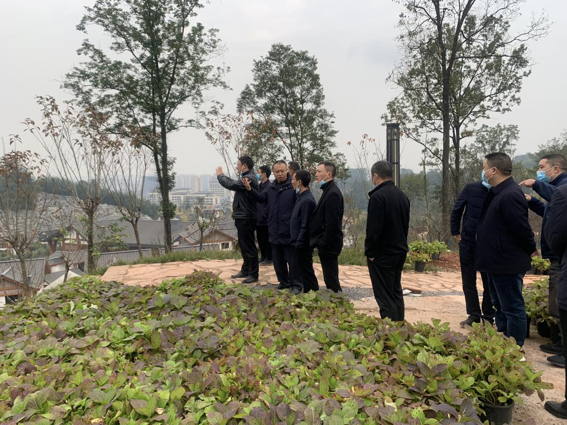 尊龙凯时官网