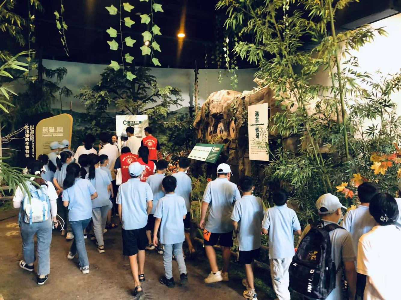 尊龙凯时官网