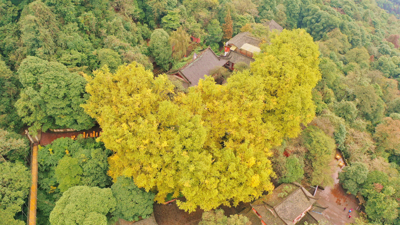 尊龙凯时官网