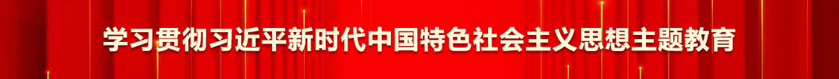 学习贯彻习近平新时代中国特色社会主义思想主题教育